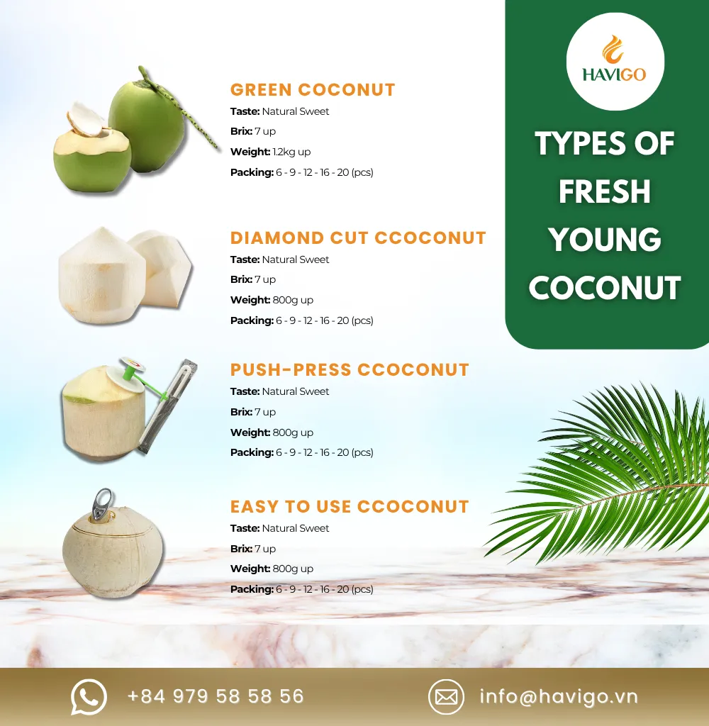 TYPES OF FRESH YOUNG COCONUT