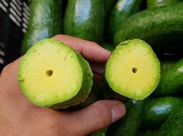 Ảnh nhỏ chèn web (2)