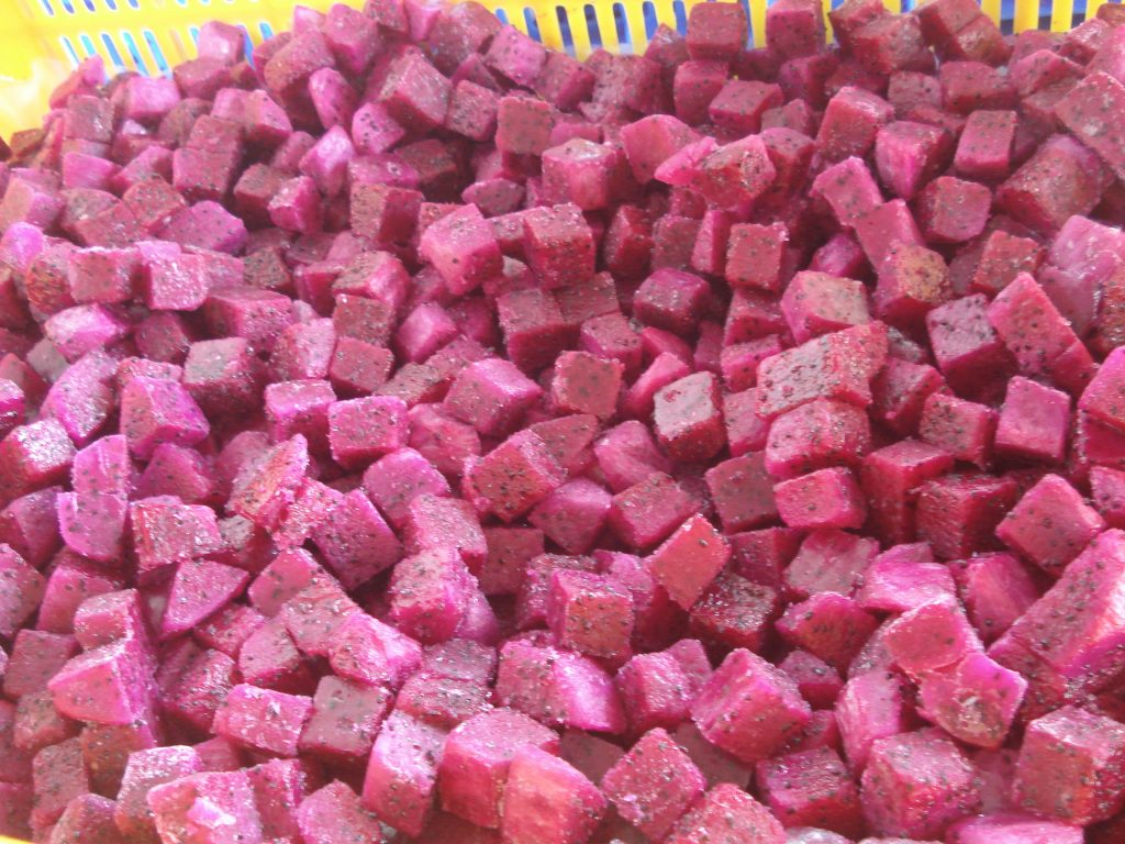 DSC01379 1024x768 1 havigo.vn