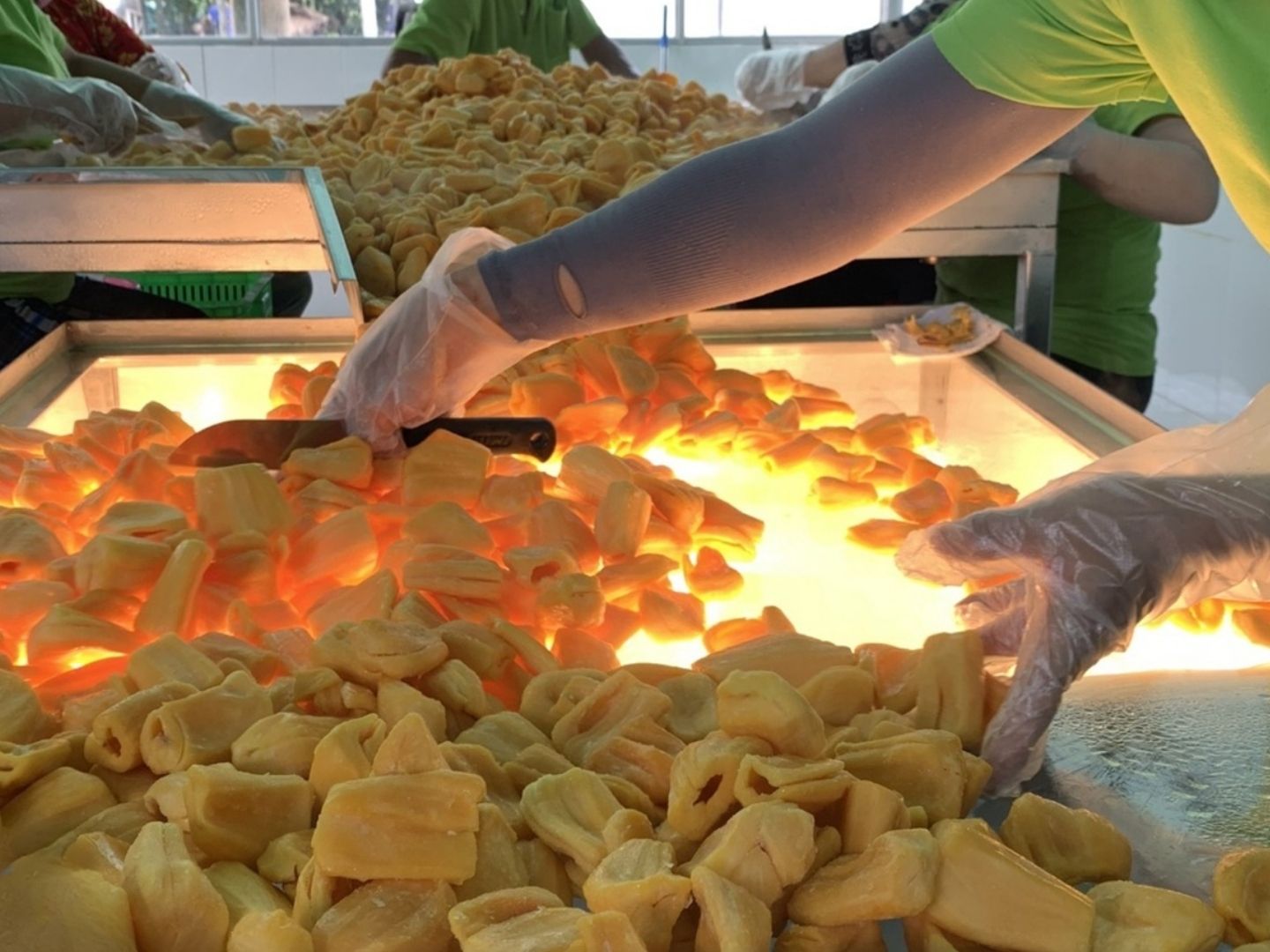 Thiet ke chua co ten 8 havigo.vn