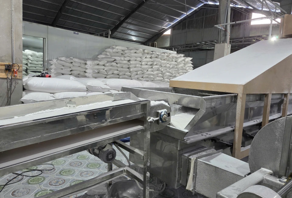 desiccated coconut factory