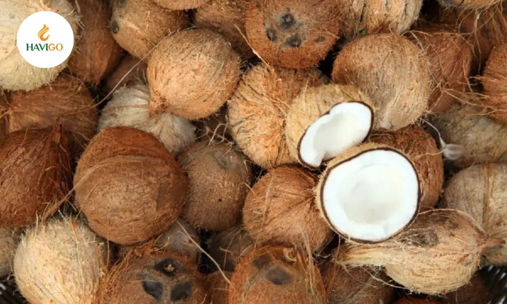 dried-coconut