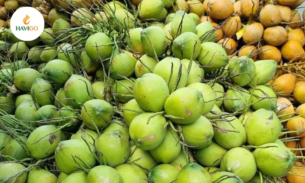 the-nutritional-power-of-vietnamese-coconut-product