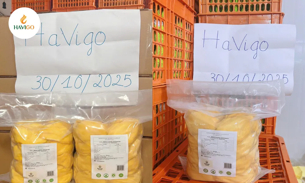 109 7 11zon havigo.vn