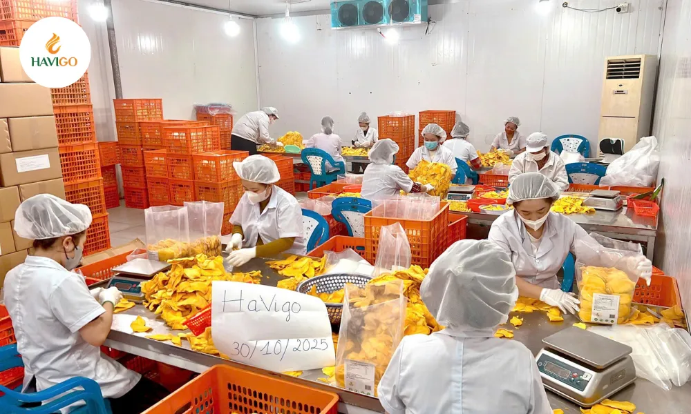 110 8 11zon 1 havigo.vn