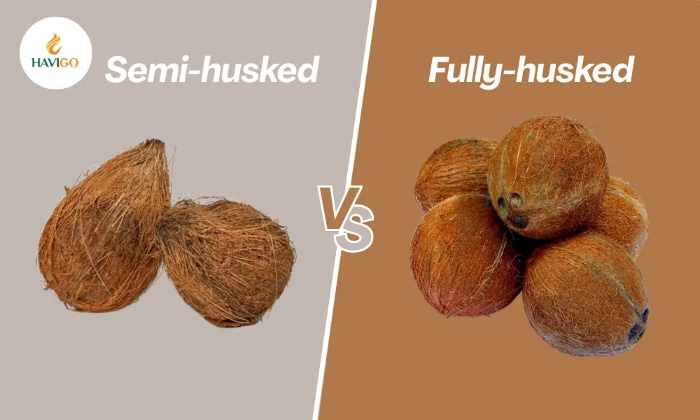 Husked Coconut Types: Difference Between Semi and Fully 2 Different between semi husked coconut and fully husked coconut