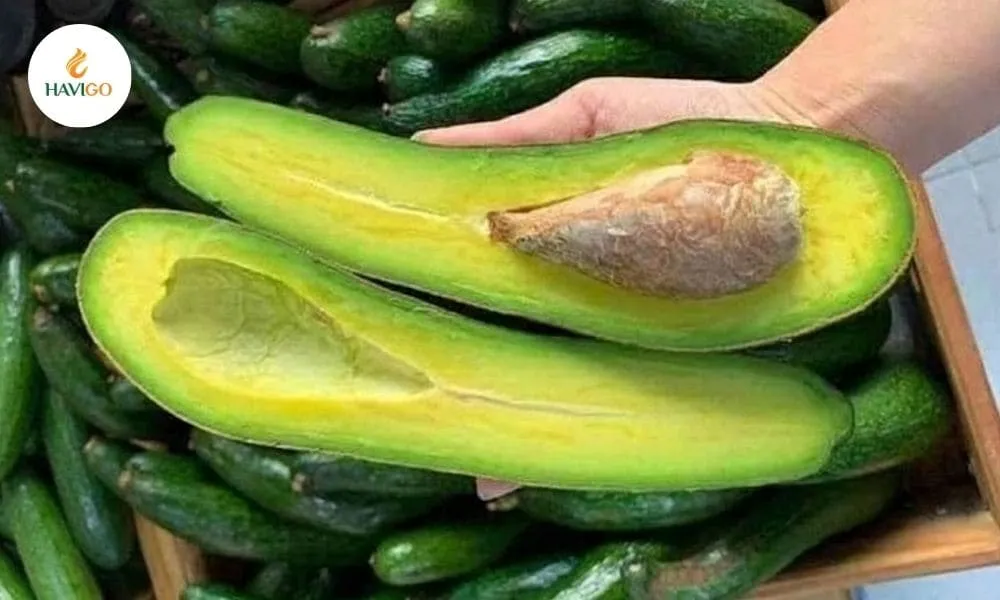 avocado-ripeness-check-by-texture-gentle-pressure-test