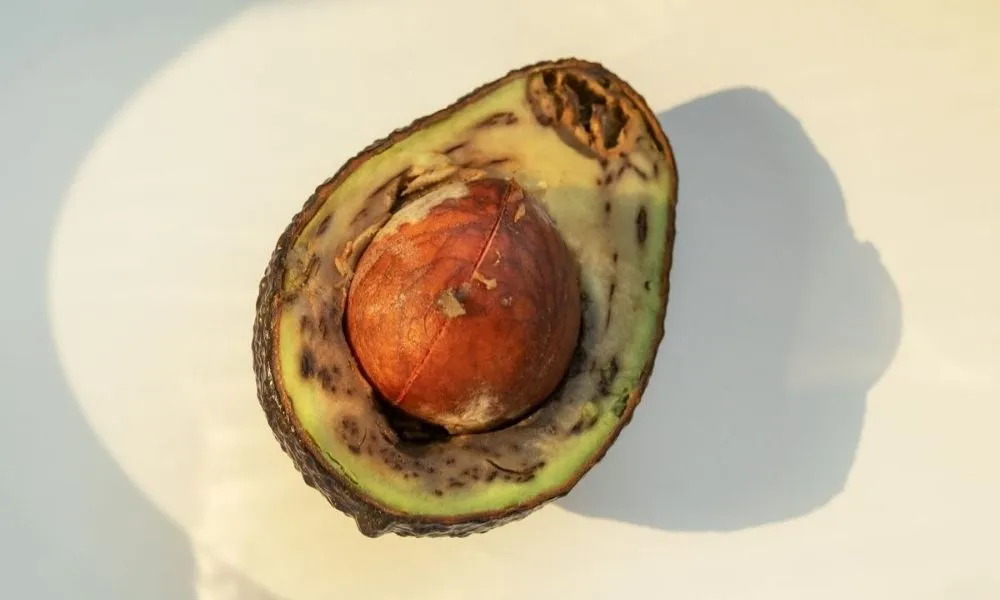 How to keep Avocado from turning brown: the ultimate guide