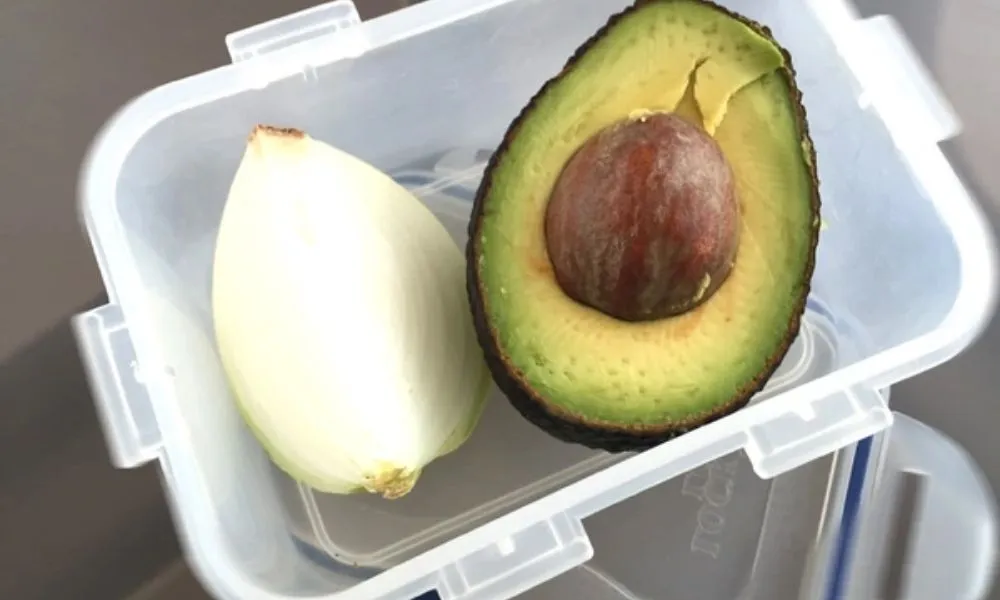 onion-storage-trick-to-keep-avocado-fresh
