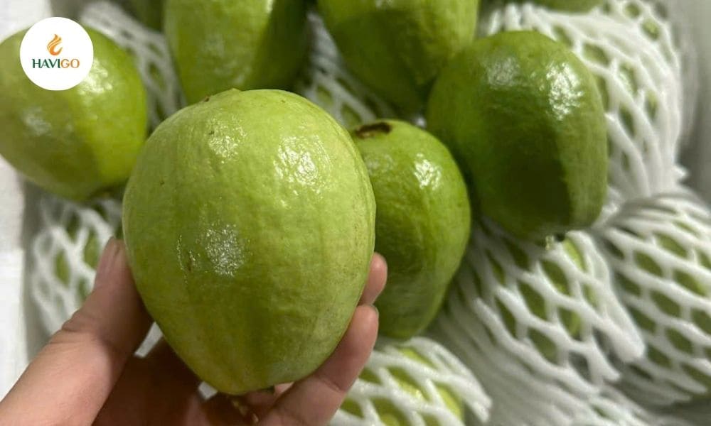 Is Guava Good for Diabetes? The Truth Revealed