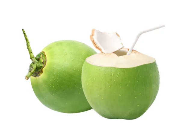 Vietnamese Coconut 1 Green Coconut