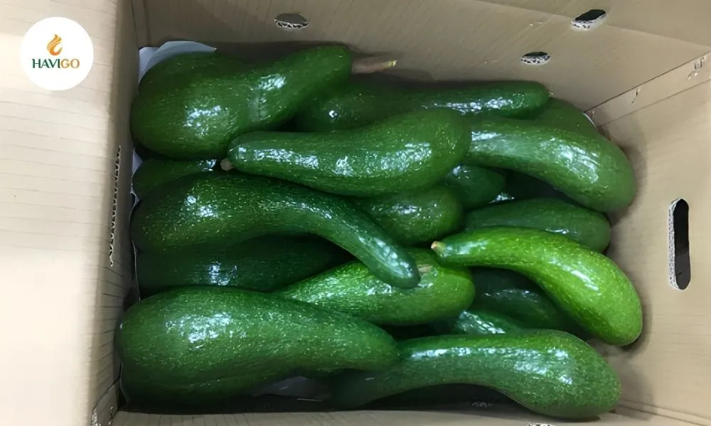 Why Is My Ripe Avocado Still Hard? The Ultimate Guide