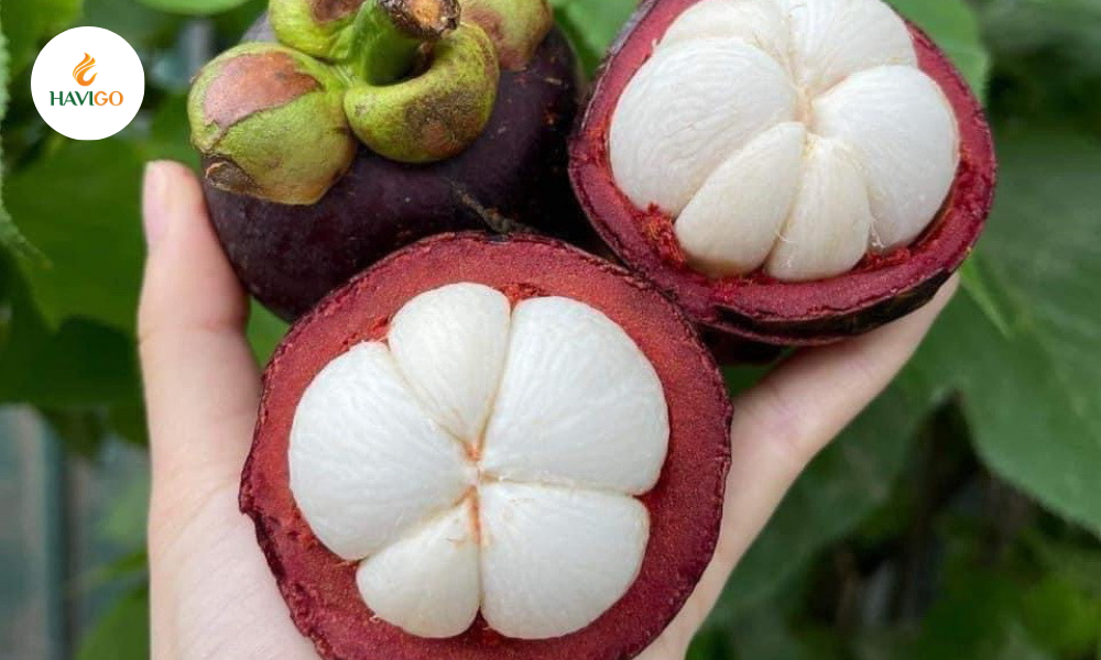 Mangosteen Fruit