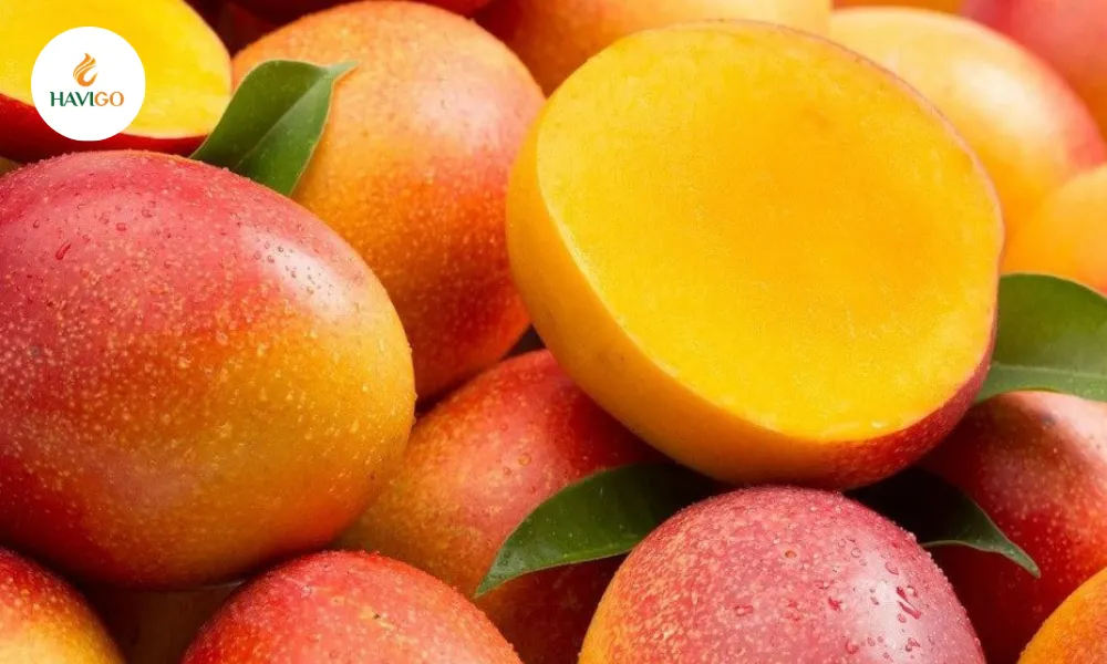 241 2 11zon havigo.vn