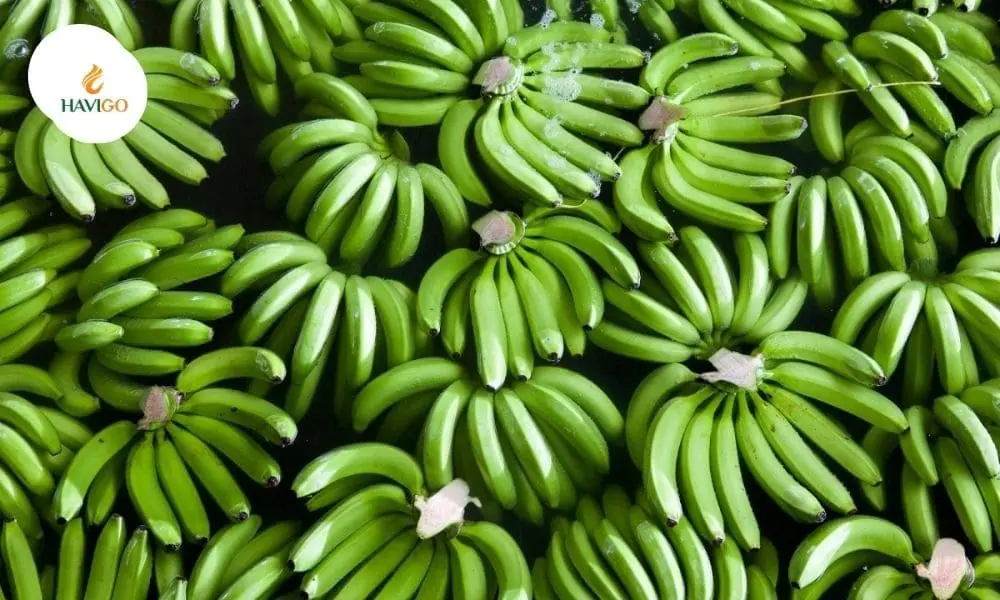 Imported fruits from Vietnam: Top 7 Exceptional Tropical Selections Buyers Trust