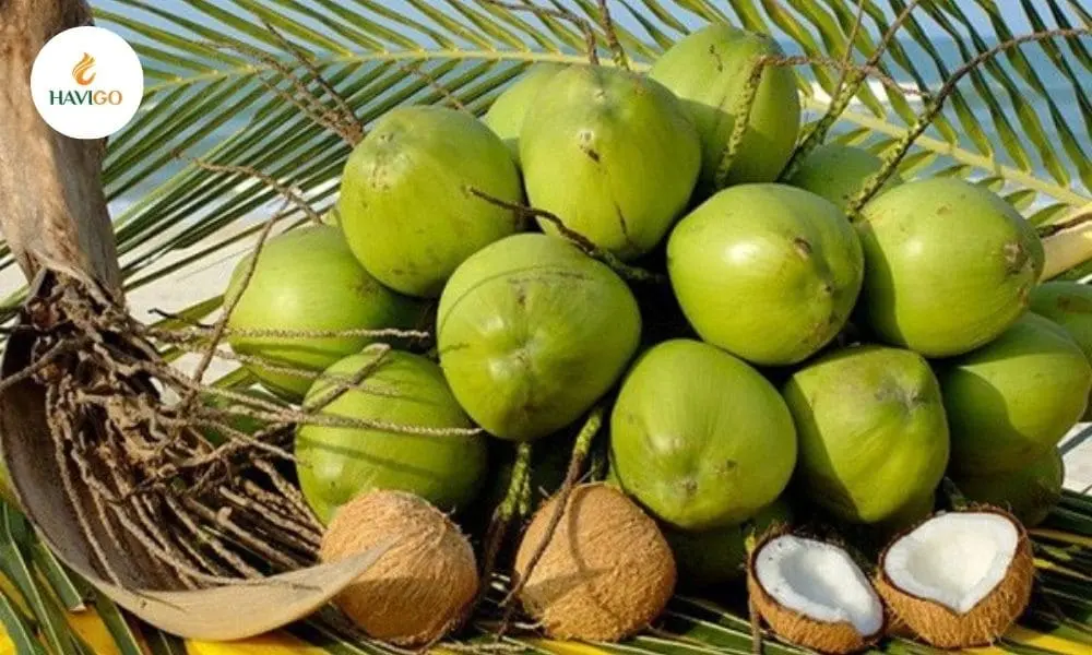 Vietnamese coconuts supplied to international imported fruit markets