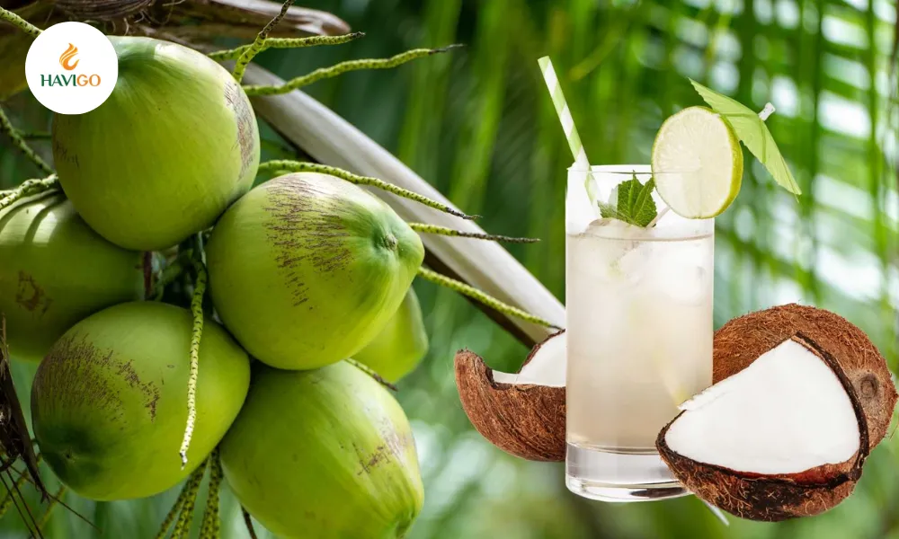 Coconut Water Is a Natural Medicine?