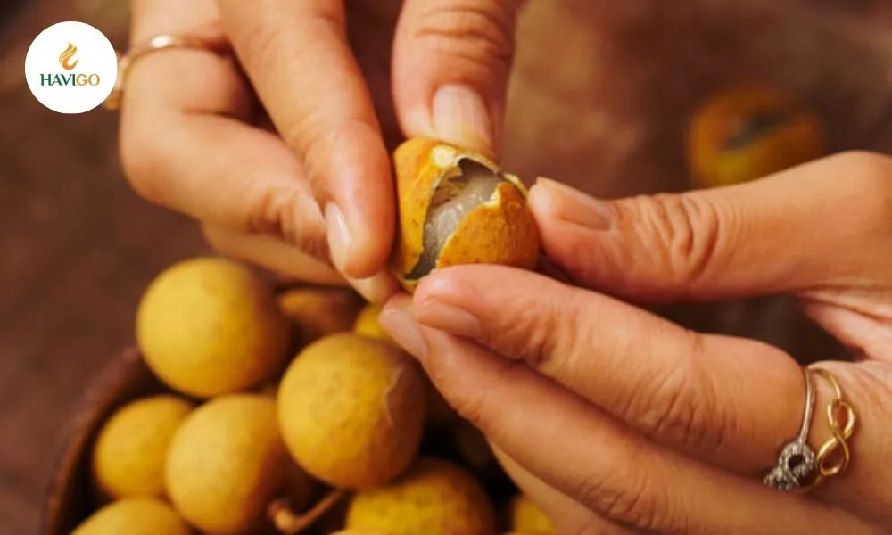 Key Characteristics of Vietnamese Longan Fruit