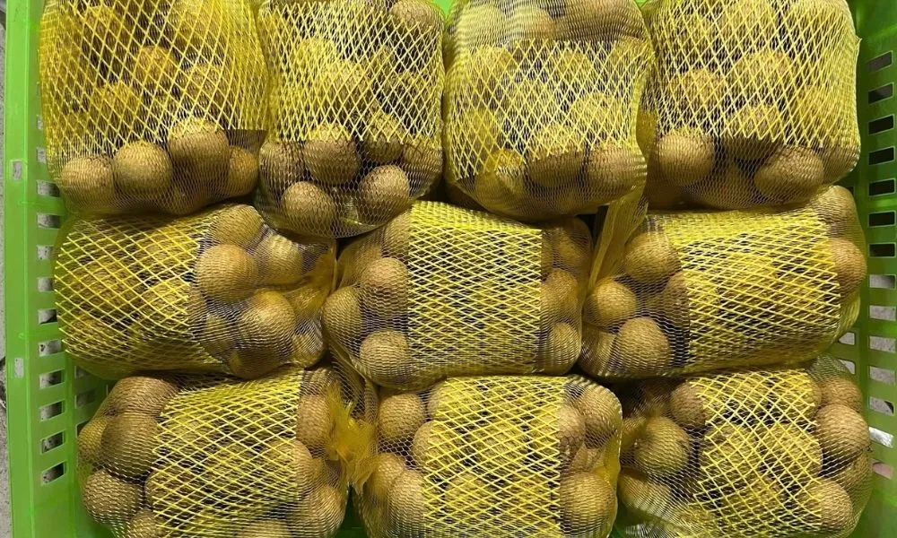 Longan Fruit Exports From Vietnam: Sweetness Trusted Worldwide