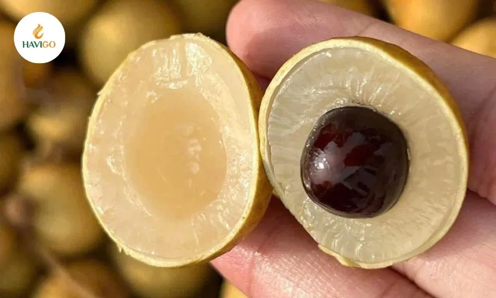 What Is Vietnamese Longan? A Complete Guide to the Famous Dragon Eye Fruit
