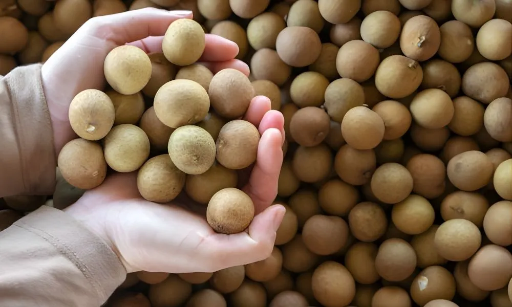 nutritional value and health benefits 