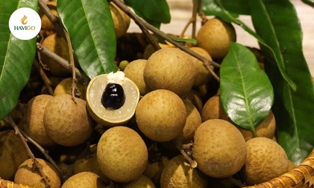 Top 5 Varieties of Longan: Key Differences You Must Know