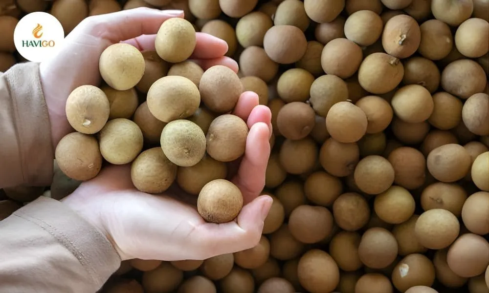 How to select high-quality longan fruit at the market.
