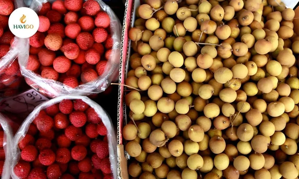 Lychee and Longan: A Delicious & Complete Guide You Need to Know