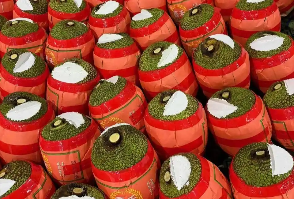 Fresh jackfruit wrapped in red protective netting, neatly arranged for packing and export.