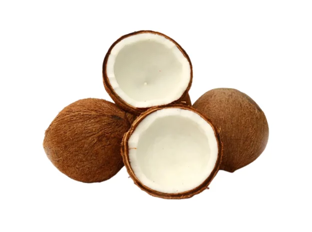 Vietnamese Coconut 2 Dried Coconut