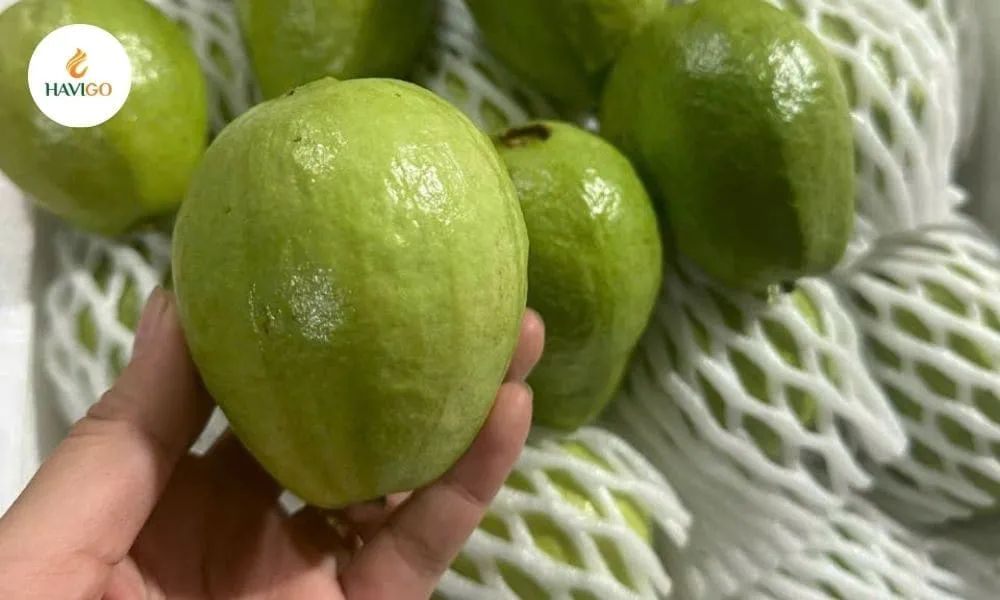 How to Select and Store White Guava
