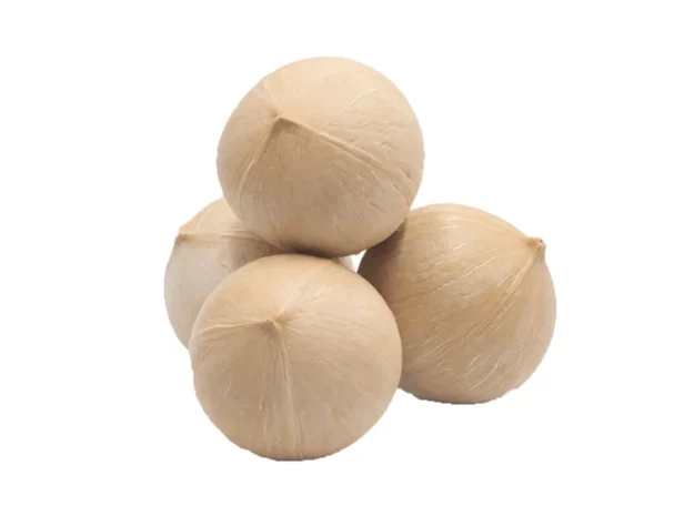 Vietnamese Coconut 3 Mature Coconut