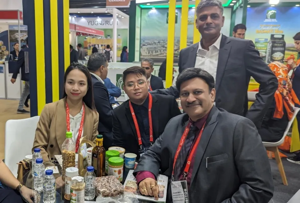 Cashew Nuts Price 2026: Why Cheapest Offers Cost You More 3 How HAVIGO Supports Importers