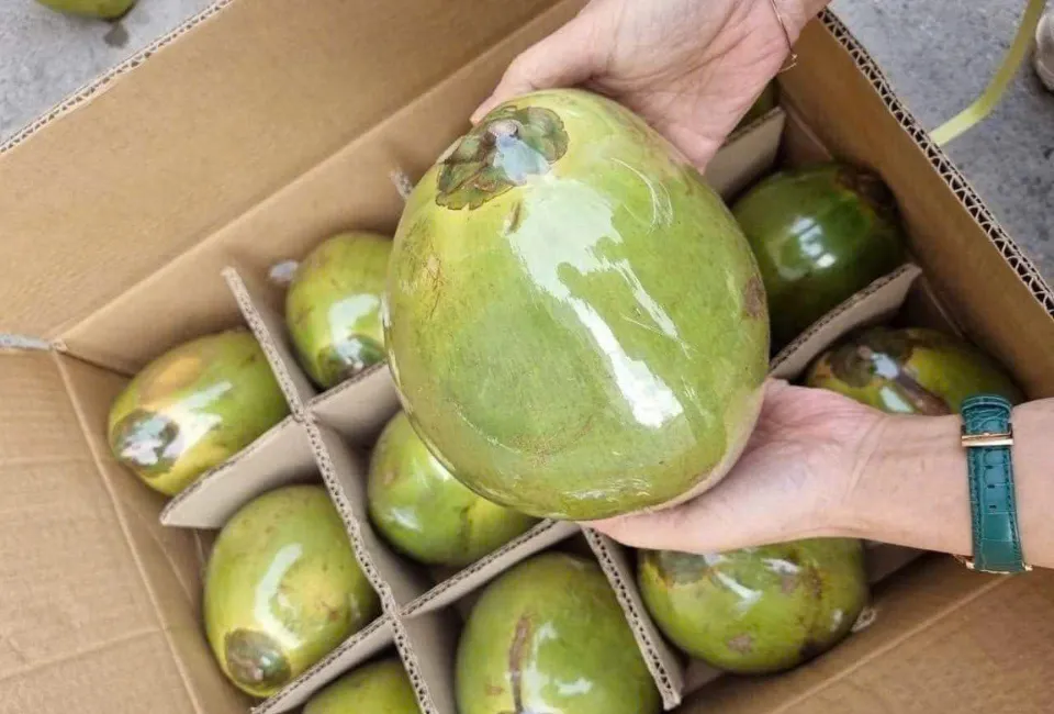 About Us 3 Fine Food export-grade products