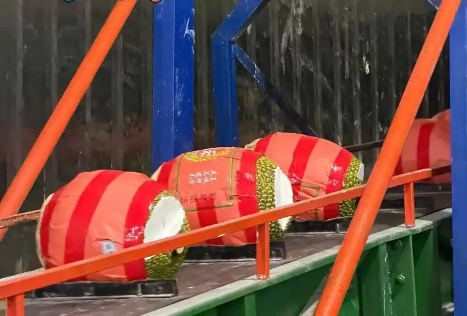 Fresh jackfruit protected with red foam netting during packing and transportation – Havigo Vietnam