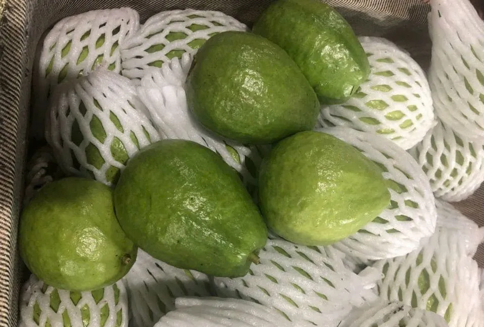 56 11zon 1 havigo.vn