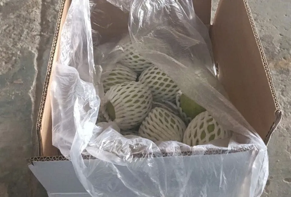 57 11zon 1 havigo.vn