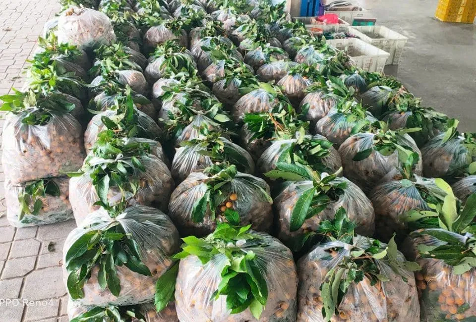 62 11zon 1 havigo.vn