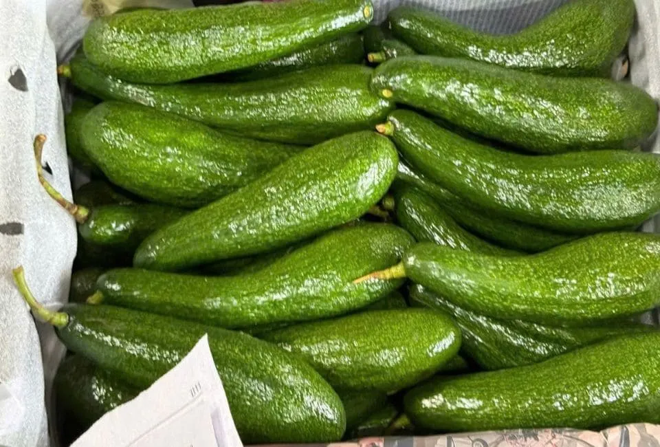 67 11zon HAVIGO VIETNAM