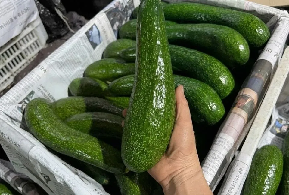 69 11zon HAVIGO VIETNAM