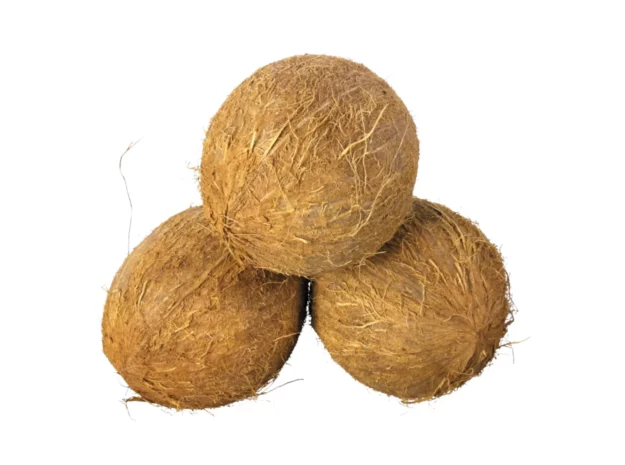 Vietnamese Coconut 4 Semi/Fully Husked Coconut