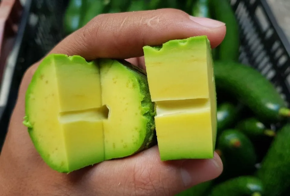 73 11zon HAVIGO VIETNAM