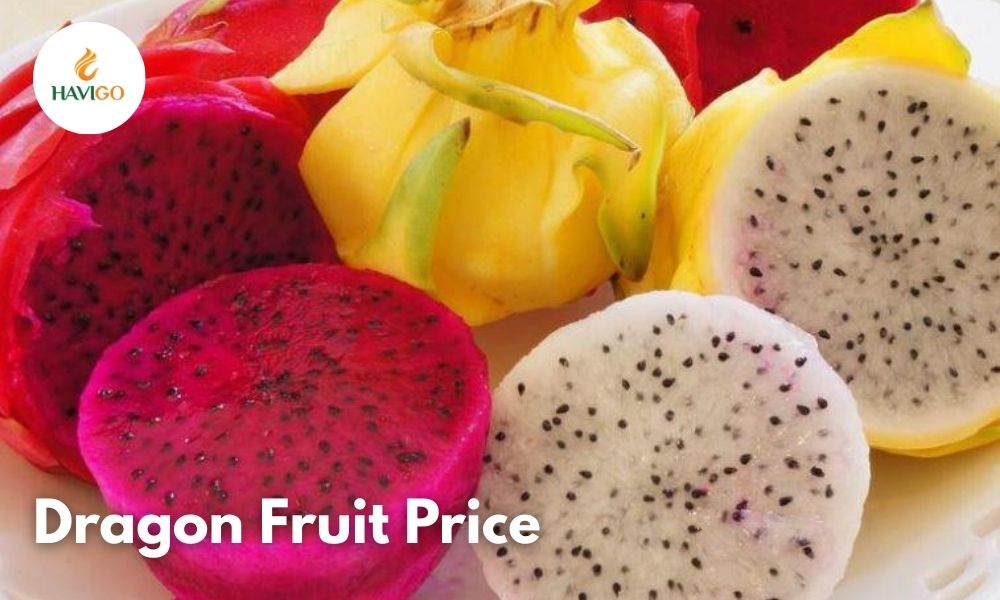 Dragon Fruit Price 2025–2026: Market Trends & Importer Insights 1 Dragon Fruit Price