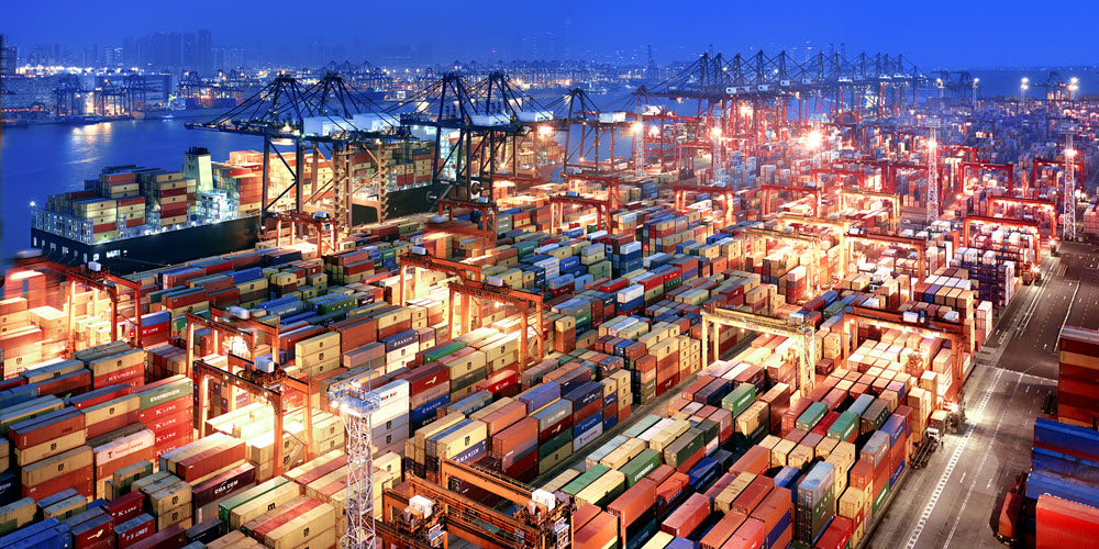 Vietnam Fruits Export: Fruits & Spices Report (Oct 2025)