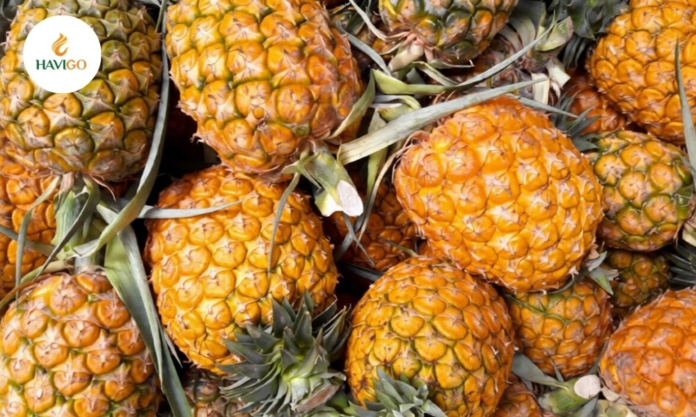 Queen Pineapple: The Sweetest Golden Gem of the Tropics 4 Queen Pineapple