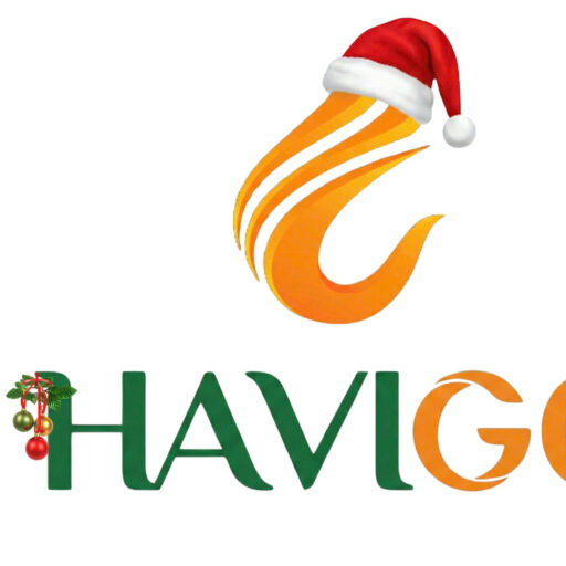 HAVIGO Logo