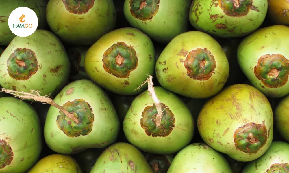 Vietnamese coconut export