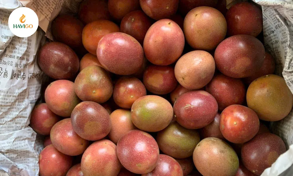 vietnamese passion fruit of Havigo