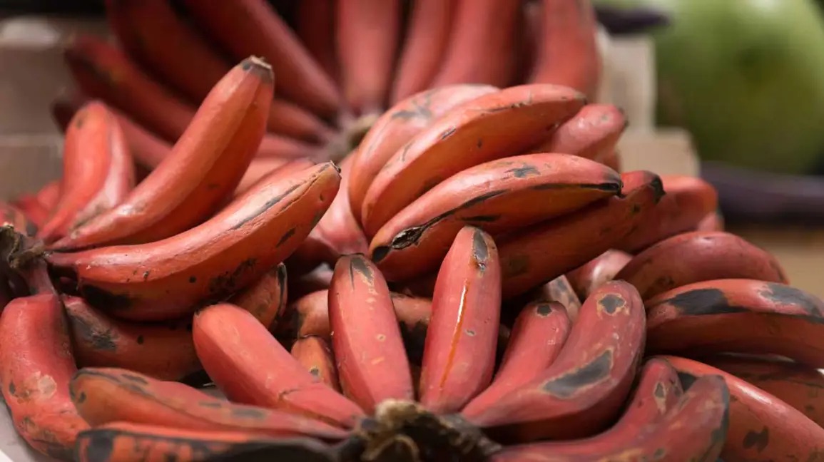 Types of Bananas You Didn’t Know Existed — and How They’re Used