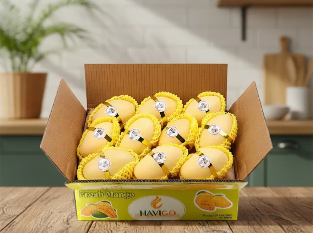 Vietnamese Mango 13 11zon Untitled20design HAVIGO VIETNAM